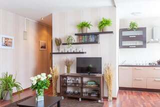 Апартаменты Апартаменты около Цума Минск Апартаменты с 1 спальней-16